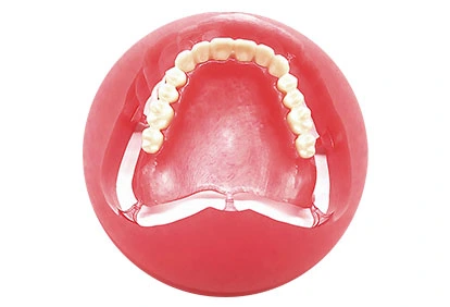 3d print digital dentures