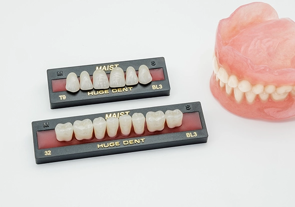 Synthetic Polymer Teeth