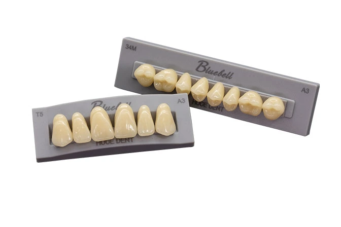 artificial denture teeth material