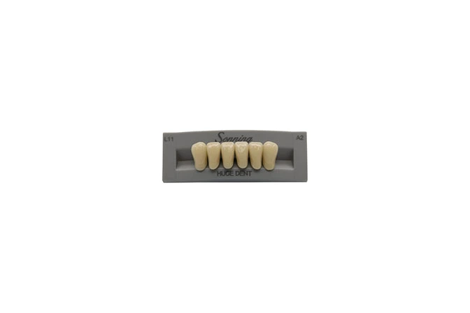 artificial teeth material