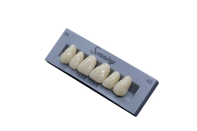 artificial teeth types