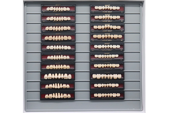different types of artificial teeth