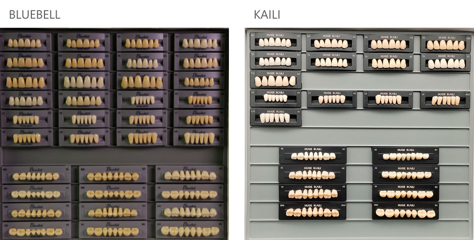 Teeth Living Mould Guide