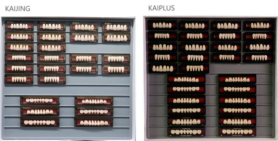 Teeth Living Mould Guide