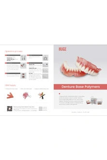 Flyer-Denture Base Polymers