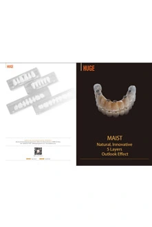 Mould Chart-MAIST